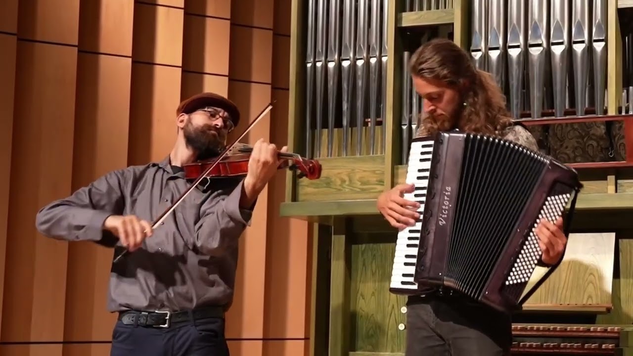 Pascal Demalsy - Valse des oies