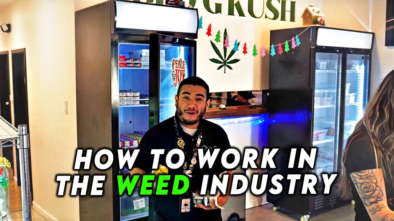 How to get a JOB in CANNABIS. Advice from the cannabis community