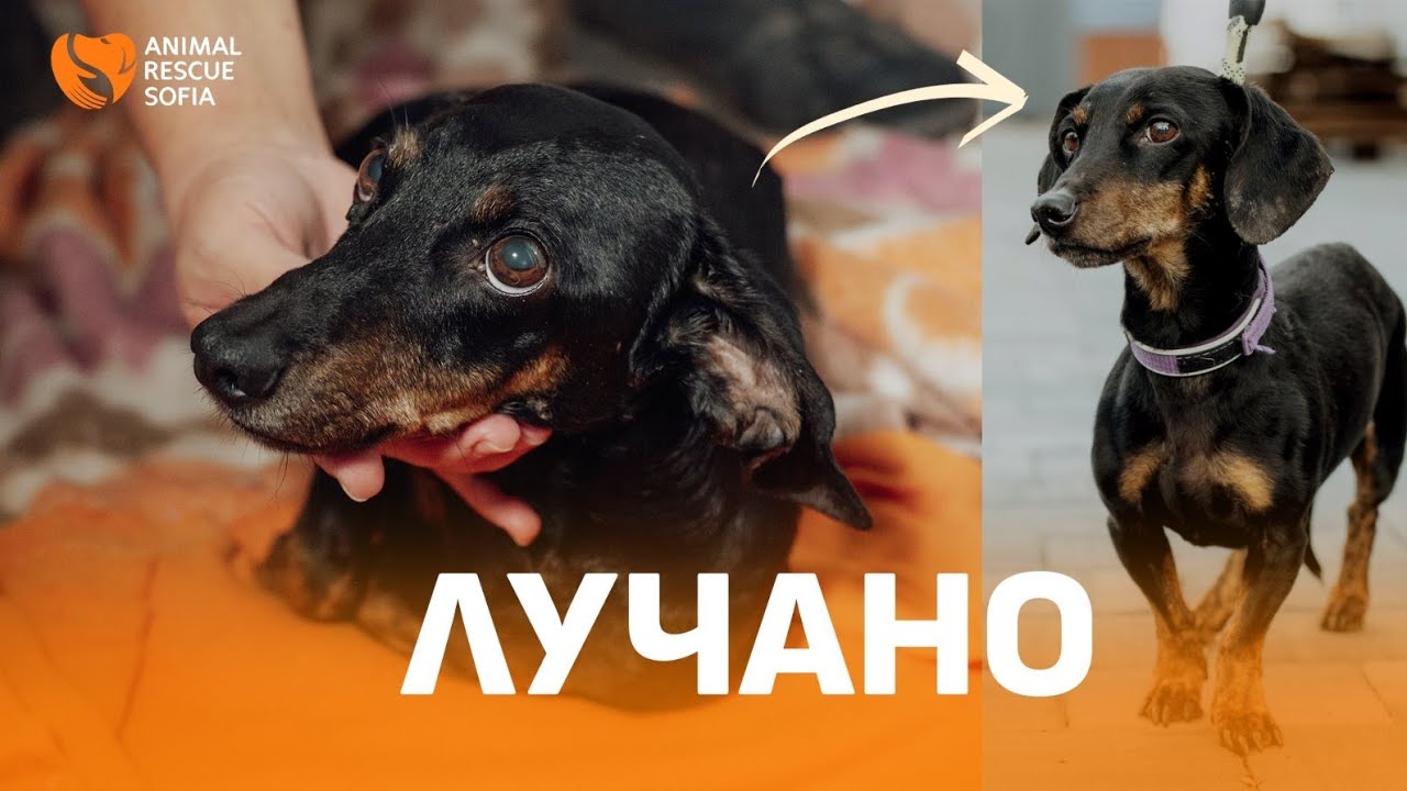 Пътят на Лучано към възстановяването