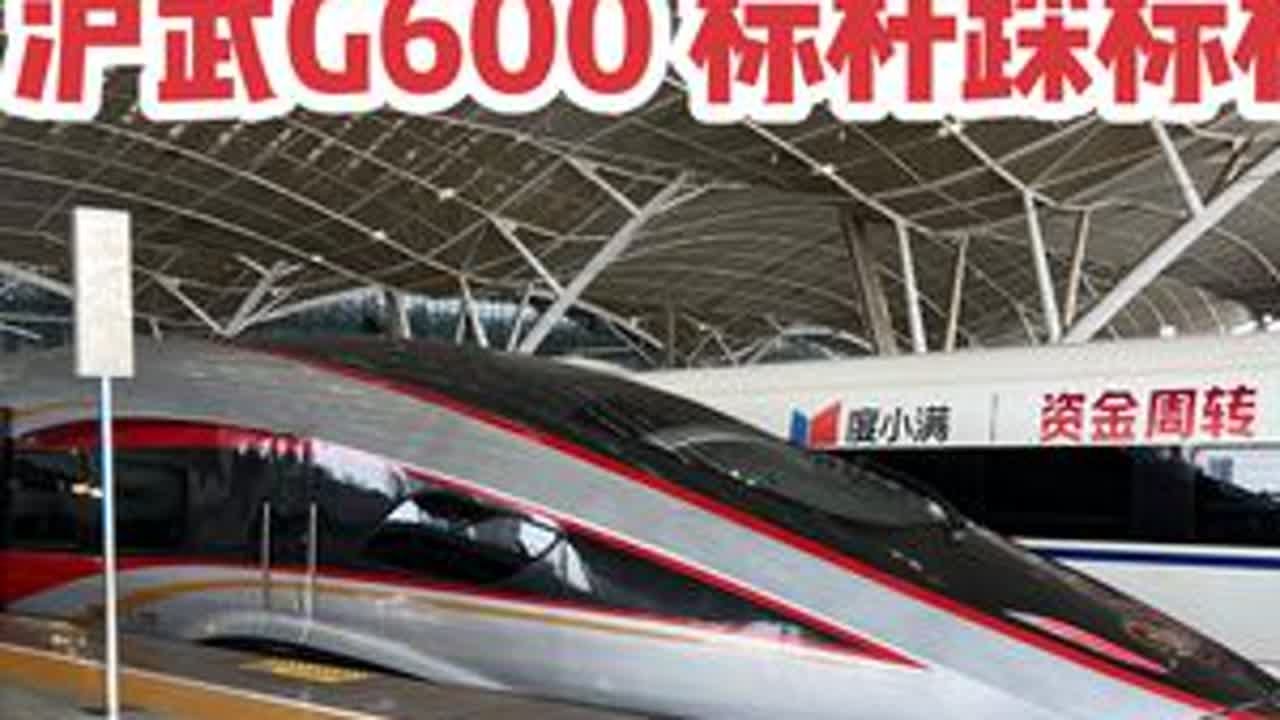 沪武G600 标杆踩标杆 武汉-上海虹桥 20250831 #高铁 #中国铁路 #武汉站 #上海虹桥站 #标杆