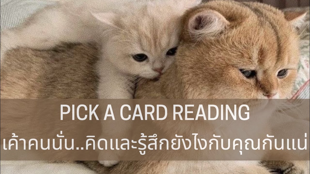 Pick a card reading Ep1 :เค้าคนนั้น..คิดและรู้สึกยังไงกับคุณกันแน่