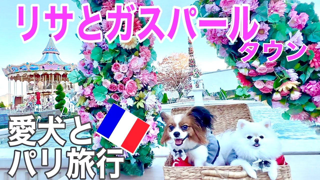 【愛犬と乗れるメリーゴーランドが最高すぎた！】#リサとガスパールタウン で ドッグランや  カフェも♪ 富士急ハイランドで 犬と乗れるアトラクション全て攻略してみた♪