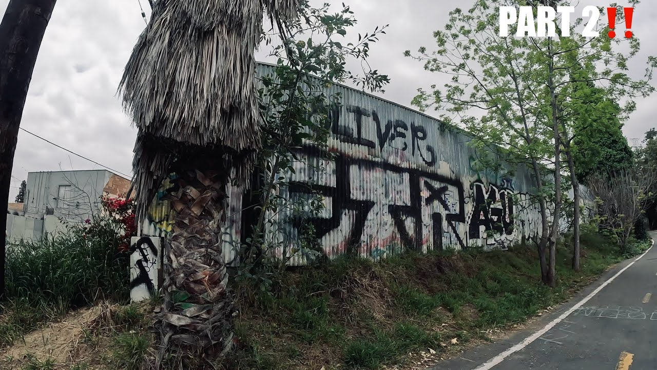 VISITING FROGTOWN RIFA 13🐸 [PART 2‼️] (Visiting LA’s Most Dangerous & Active Hoods)