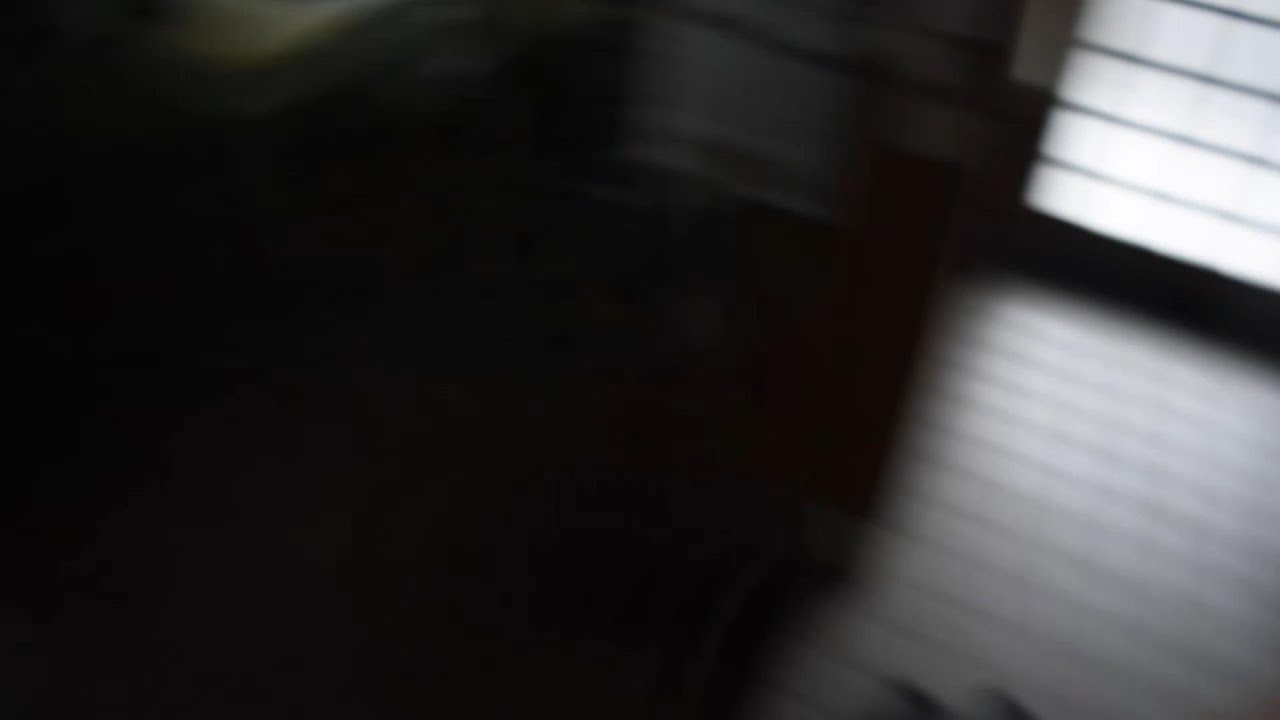 【心霊事故物件】2人が亡くなっている事故物件に1人で行ってきた！two people are dead ,psychologically impacted property