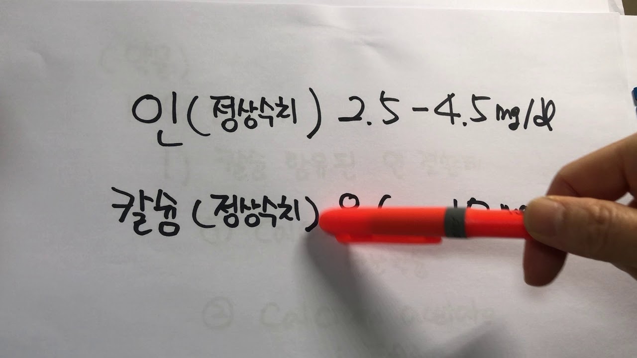 인과 칼슘