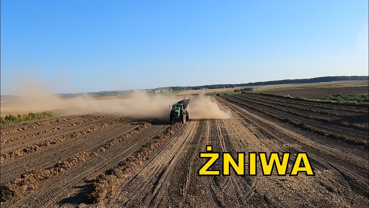 ŻNIWA FASOLOWE 2024 |AgroLovers