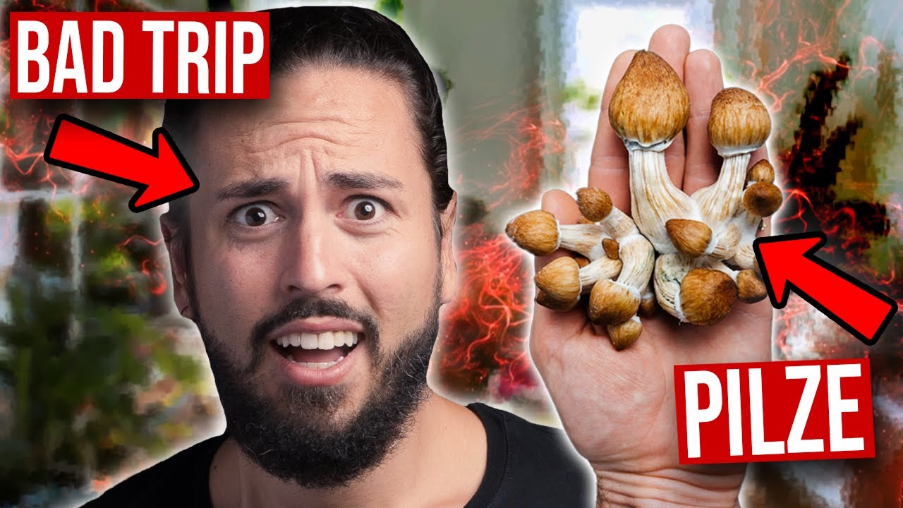 Bad Trips stoppen: 5 Tipps gegen Angst & Panik auf Psychedelika