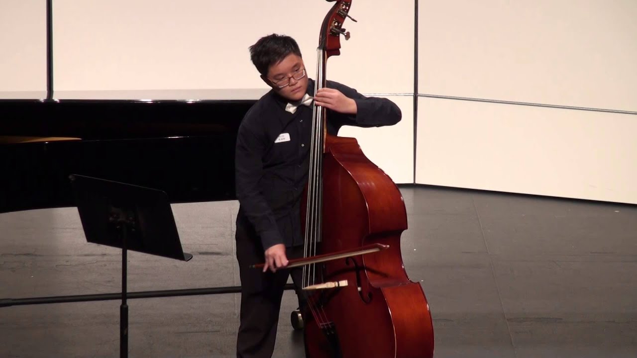 2014香港弦樂紫荊盃大賽_低音大提琴(中級組)_ 李卓軒（金獎）