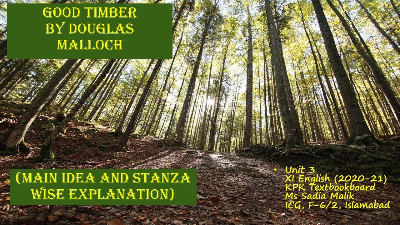 Good Timber by Douglas Malloch - Part 1 ( Main Idea and stanza wise explanation)
