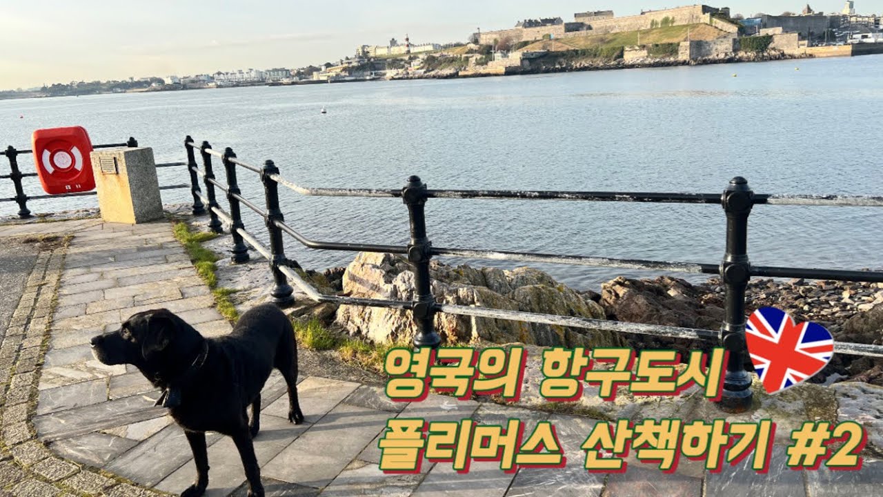 영국개 조지와 함께 영국의 항구도시 플리머스 산책하기