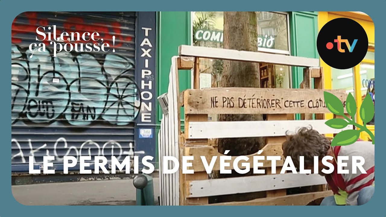 Le permis de végétaliser - Silence ça pousse !