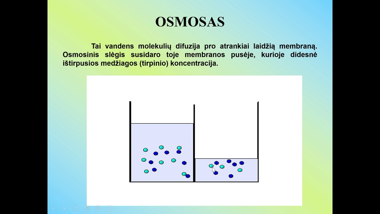 Pernaša pro plazminę membraną