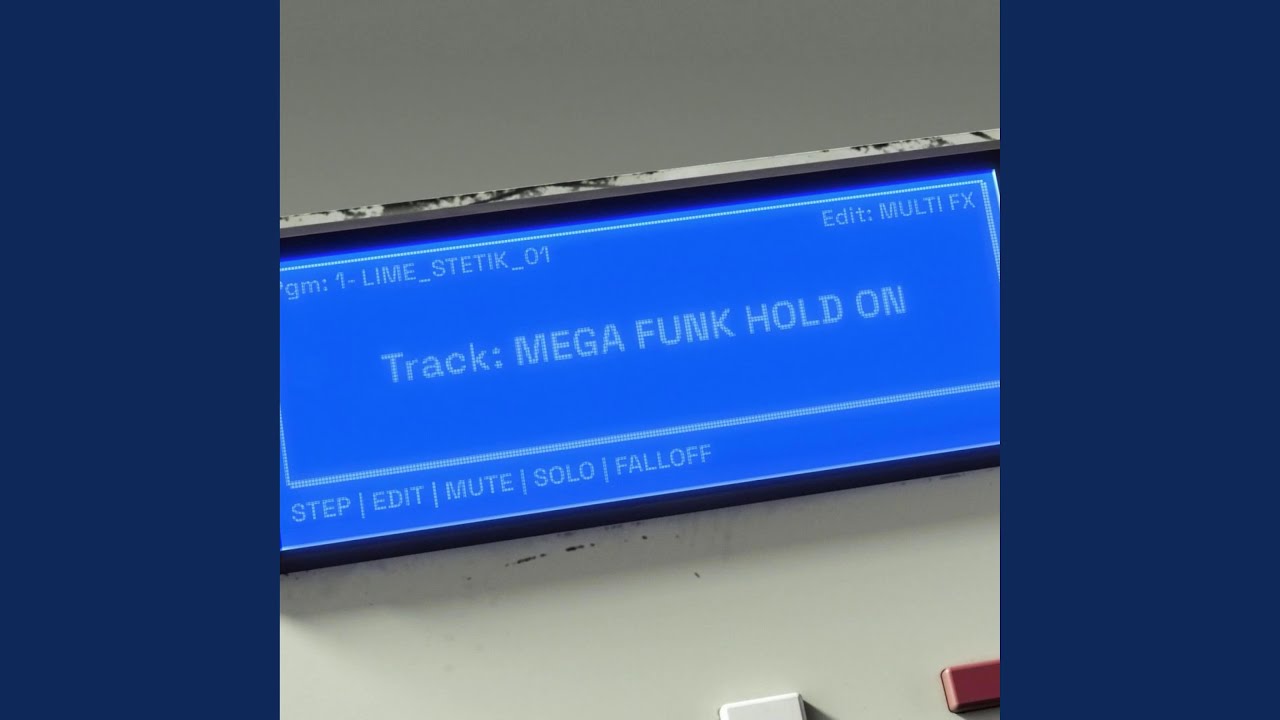 MEGA FUNK HOLD ON