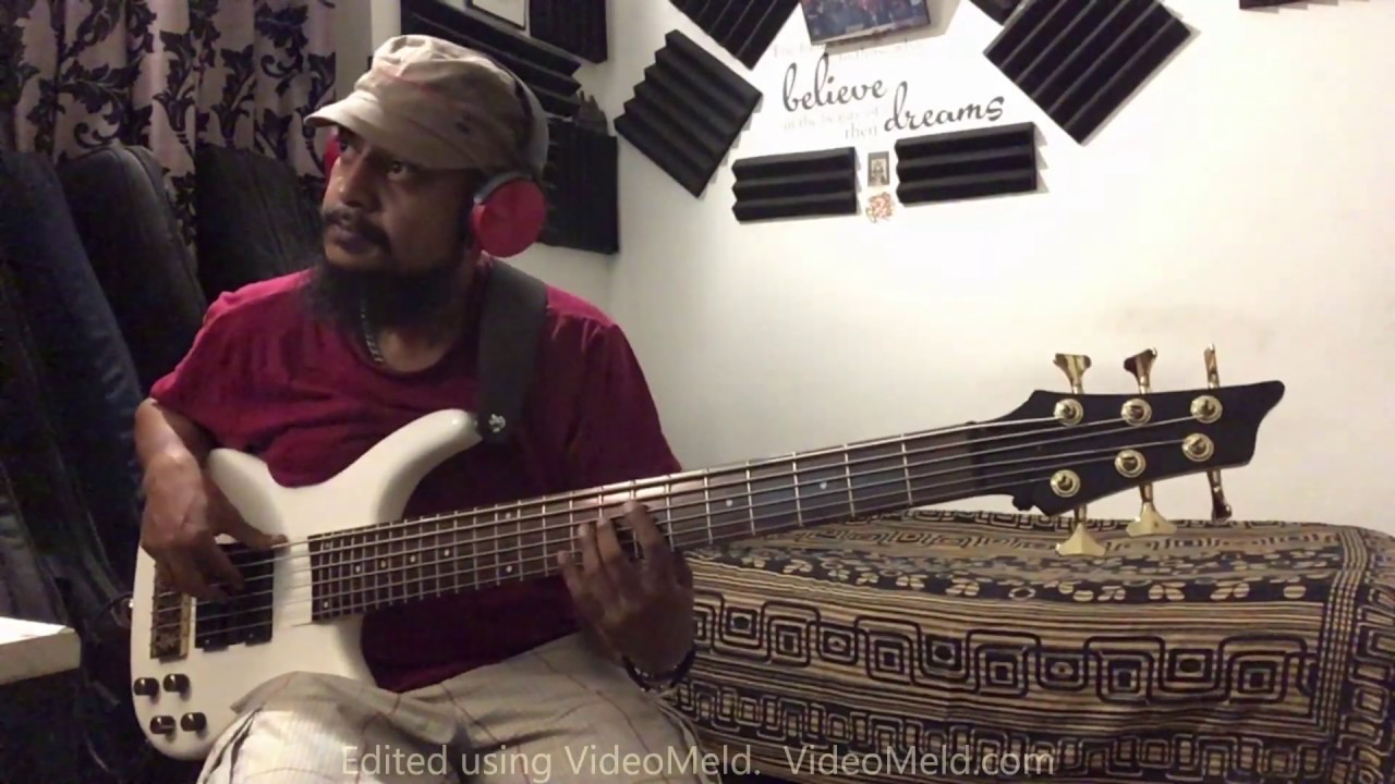 Koi yehan aha nache nache (Disco Dancer) Bass Cover