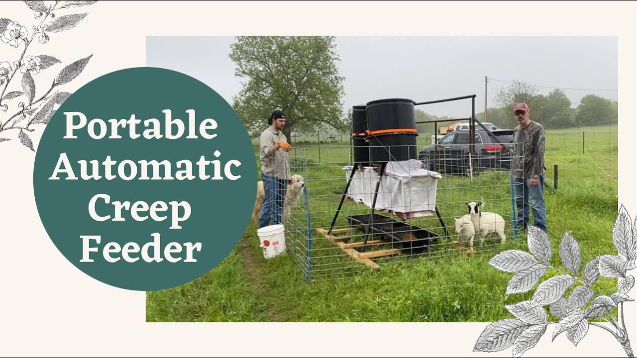 Lamb Creep Feeder - Portable, Rotational, Automated, Scheduled, Ewe Proof - Greg Judy Style