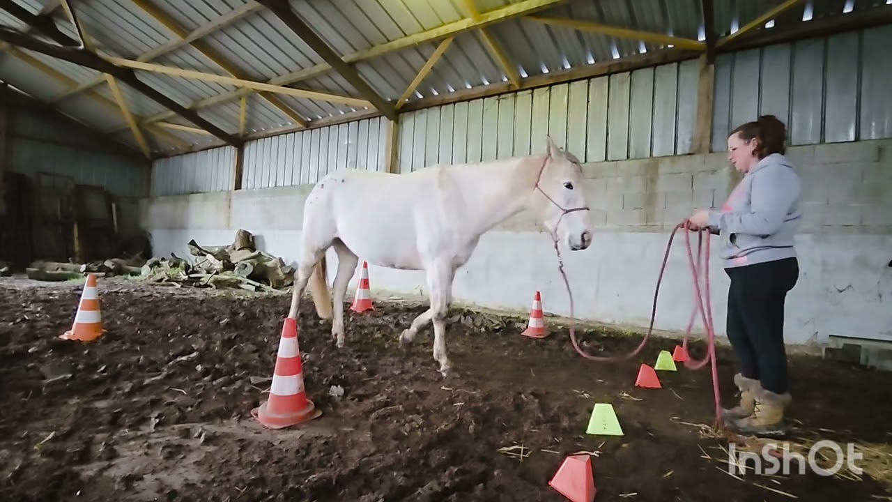 Equifeel Cavalgo 2025 Mélanie Pennors et Lozen de Kerezec club 3 manche 1