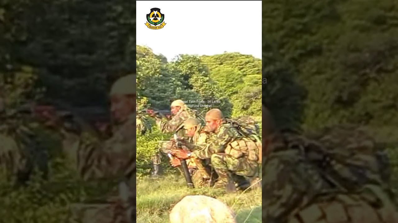 Special task force - Sri Lanka #shorts #stf #specialtaskforce
