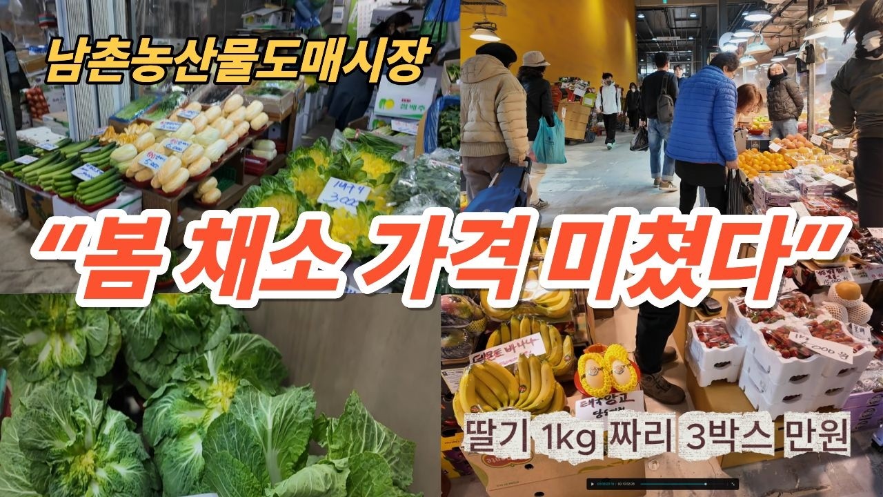 “딸기 3박스 만원? 남촌농산물도매시장 봄 채소 가격 충격” ~! 힐링여행