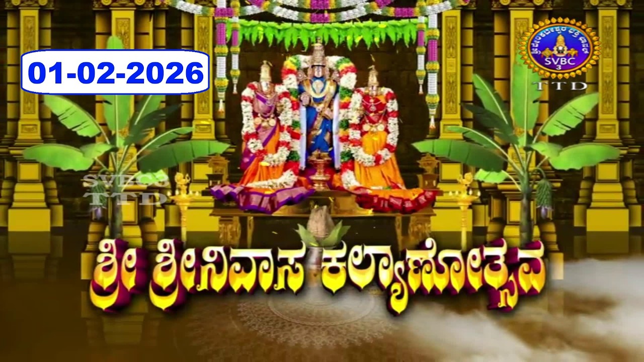 Srivari Kalyanotsavam || Tirumala || 01-02-2026 || SVBC3 Kannada || SVBC TTD