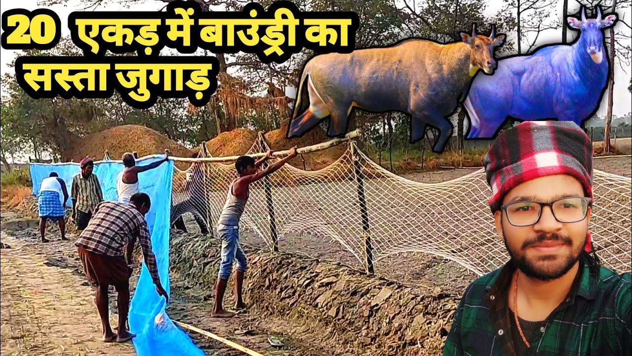 तारबंदी का दुनिया का सबसे सस्ता और मजबूत जुगाड़ | khet me jaali kaise lagaye | Low Budget Fancing