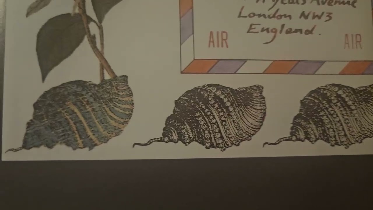 Pop up books: Griffin and Sabine Letters example 1