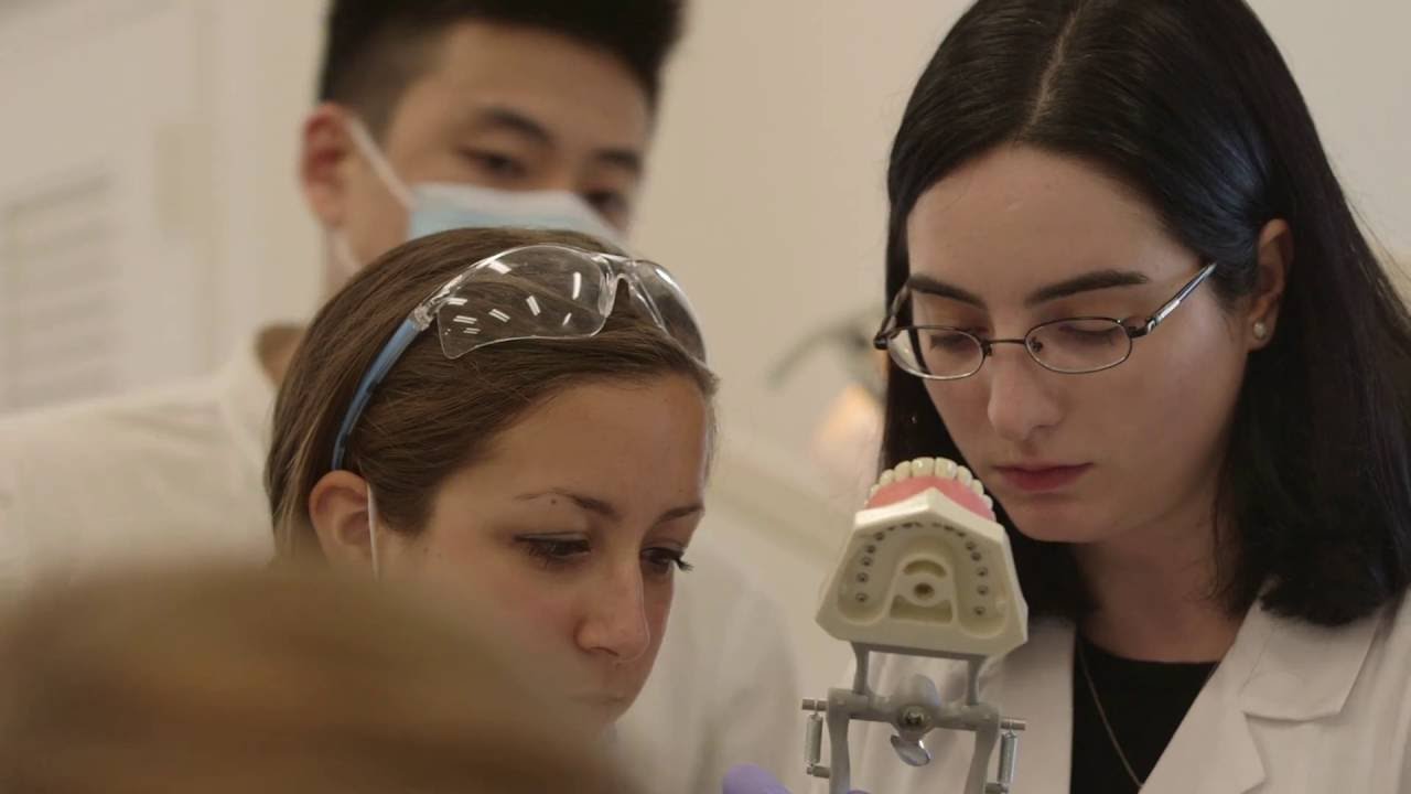 Welcome to Columbia University College of Dental Medicine