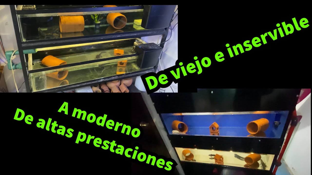 Tunéame el acuario: “Sistema de lujo para ajolotes” PARTE 1