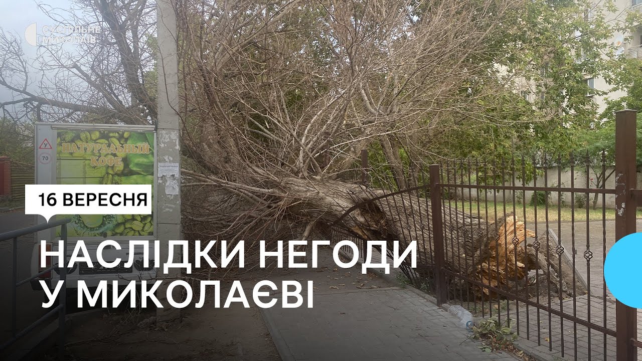 Падіння дерев та пошкодження мережі освітлення: які наслідки буревію в Миколаєві