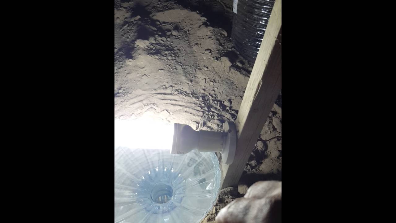 مصيدة حشرات خاصه لأهل النخل للقضاء على حفار النخل