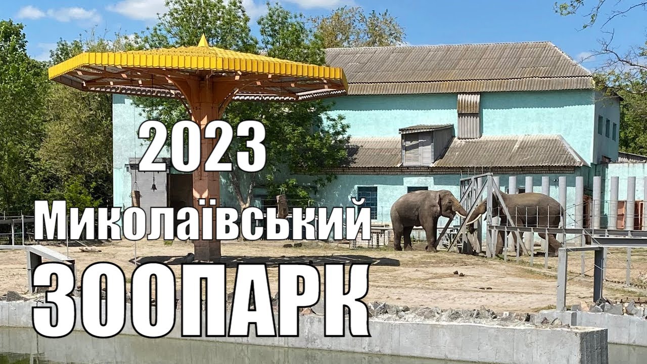 Миколаївський ЗООПАРК. Травень 2023 року