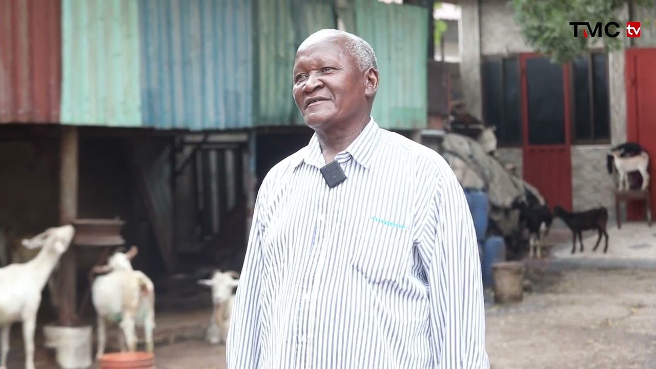 Ufugaji wa Mbuzi ni Biashara kubwa hapa Tanzania