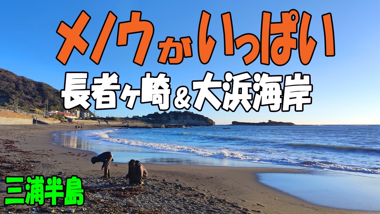 メノウとカルセドニーがいっぱい！【神奈川県 葉山町】長者ヶ崎海岸・大浜海岸 ビーチコーミング