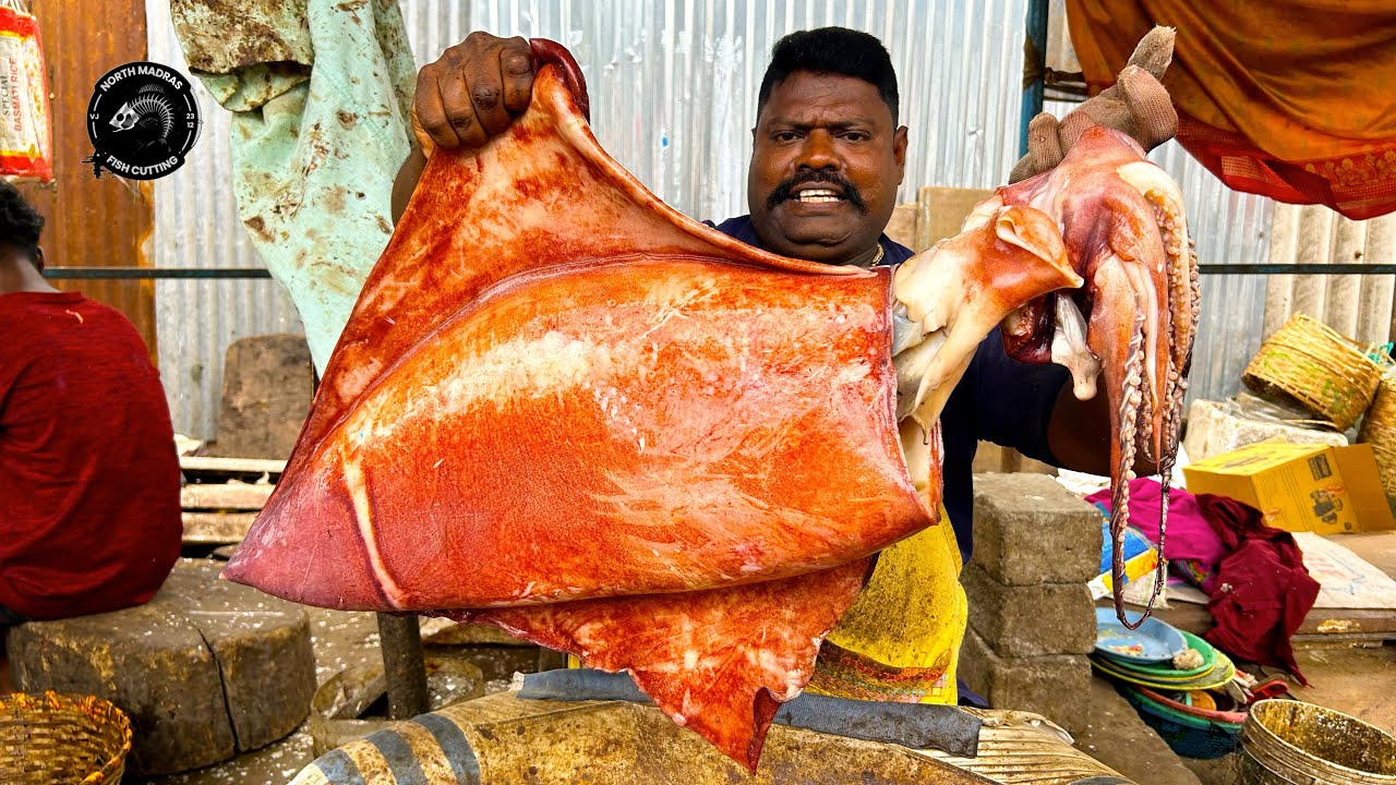 KASIMEDU 🔥 SPEED SELVAM | SQUID 🦑 FISH 🐟 MASS CUTTING SKILLS | N M FISH CUTTING 🔪