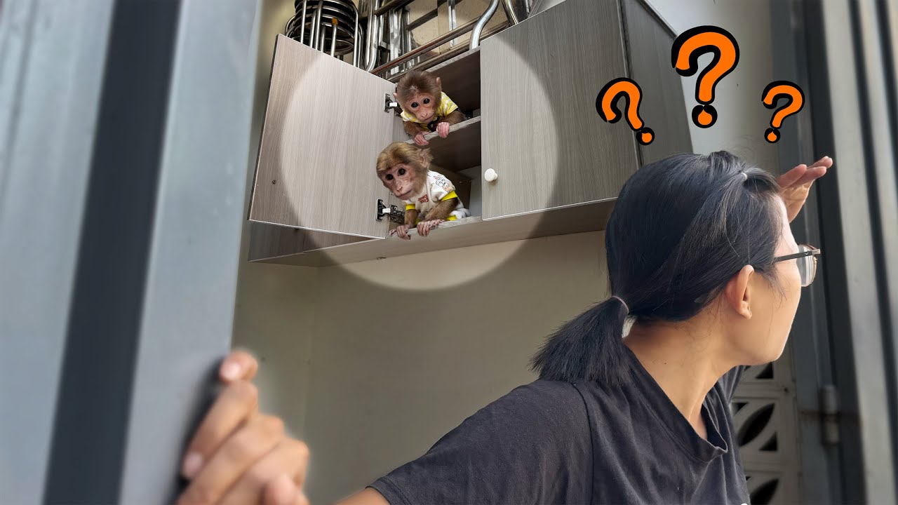 Mom Linh was shocked to discover Lucky and Sunny’s secret hiding place!