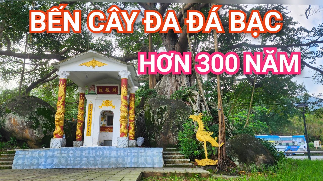 Ít Người Biết: Bến Cây Đa Phú Lộc Huế Đã Tồn Tại Hơn 3 Thế Kỷ
