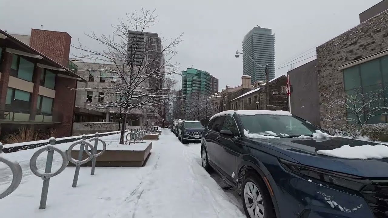 Streets After Snow /A busy but lovely city