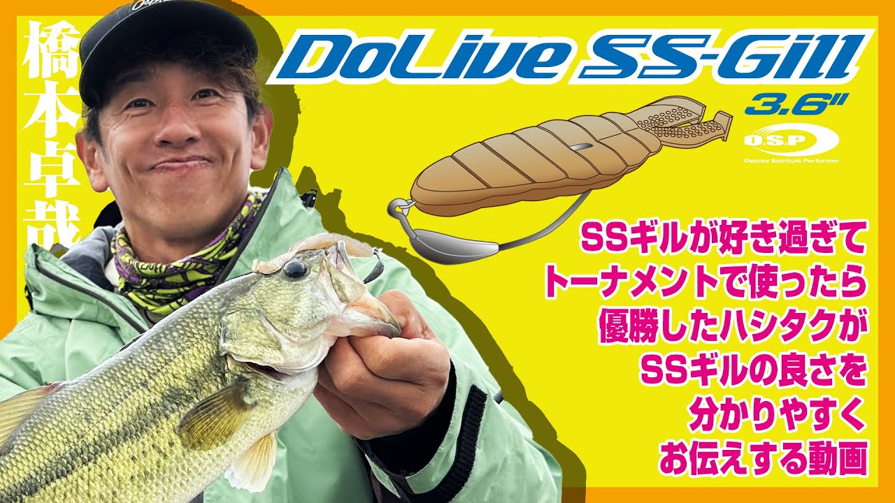 ドライブSSギルが好き過ぎてトーナメントで使ったら優勝しハシタクがSSギルの良さを分かりやすくお伝えする動画【橋本卓哉 in 霞ヶ浦】