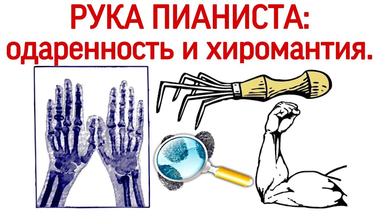 Идеальные руки пианиста: одарённость и хиромантия?