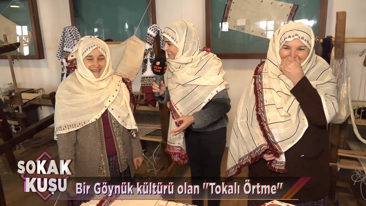 Sokak Kuşu Bolu Göynük'te   23 Ocak 2021