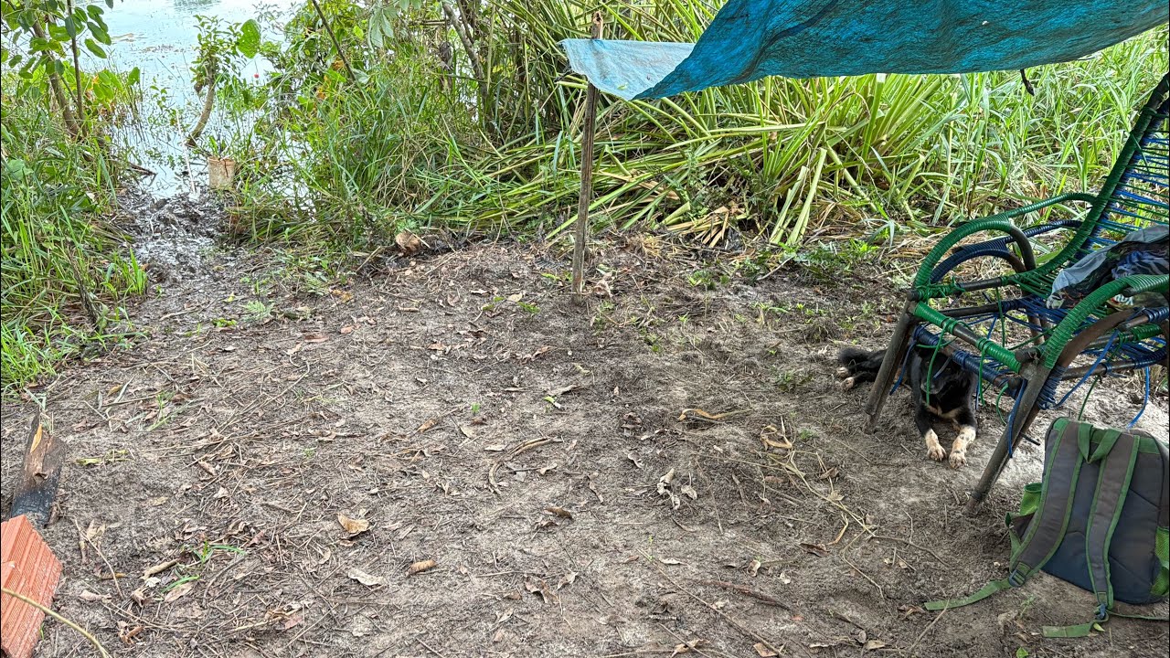 Pescaria de Traíra na Lagoa: Ação do Início ao Fim?