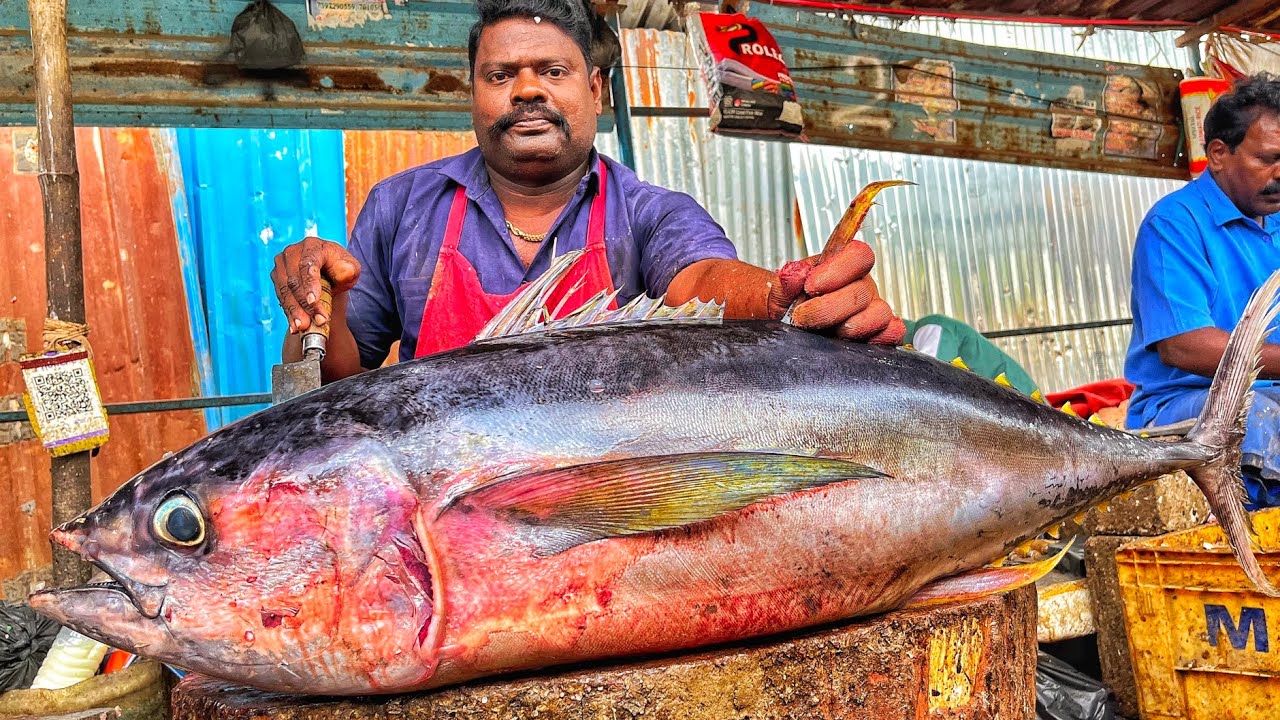 KASIMEDU 🔥 SPEED SELVAM | HUGE TUNA FISH CUTTING VIDEO | 4K VIDEO | KM FISH CUTTING 