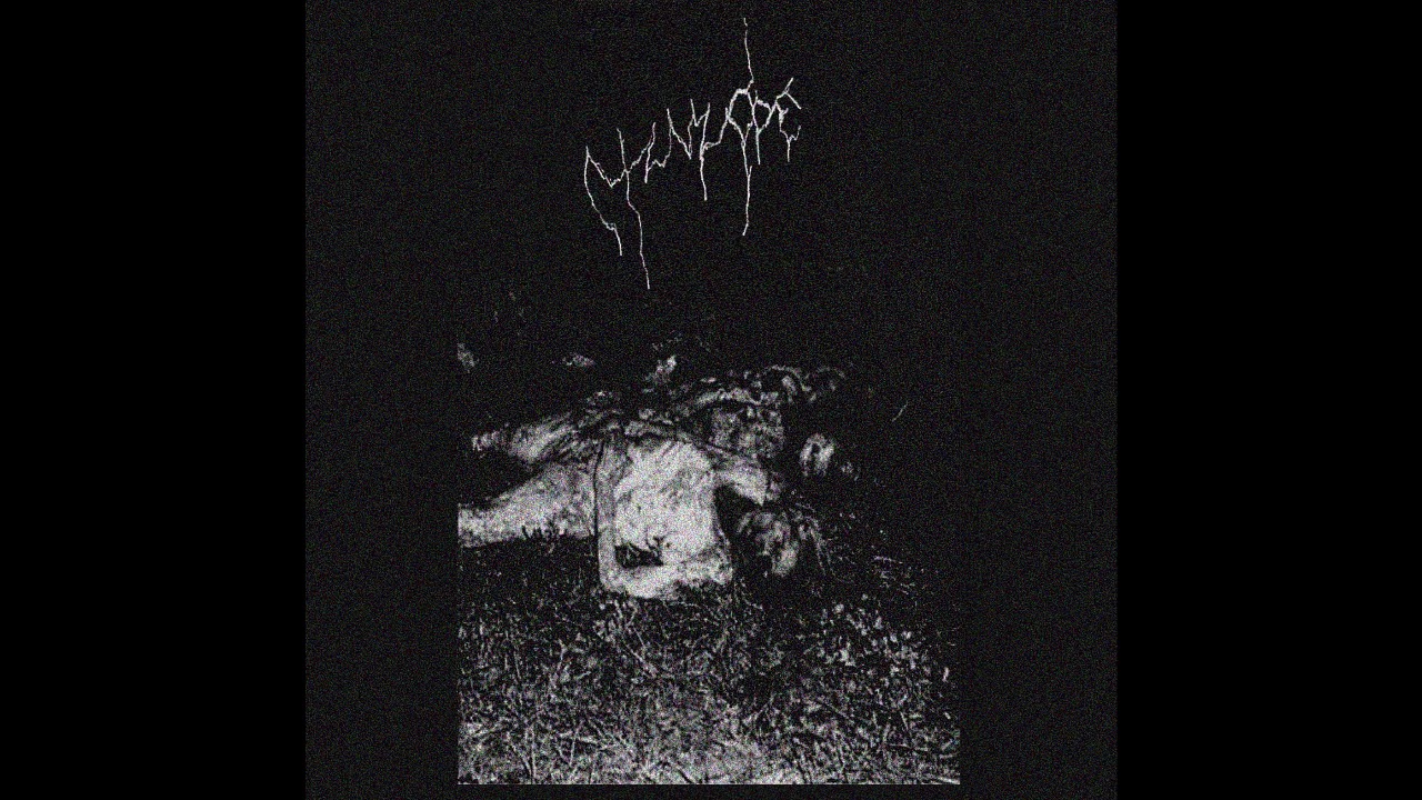 Ctenizidae - Moribund Depths of Night