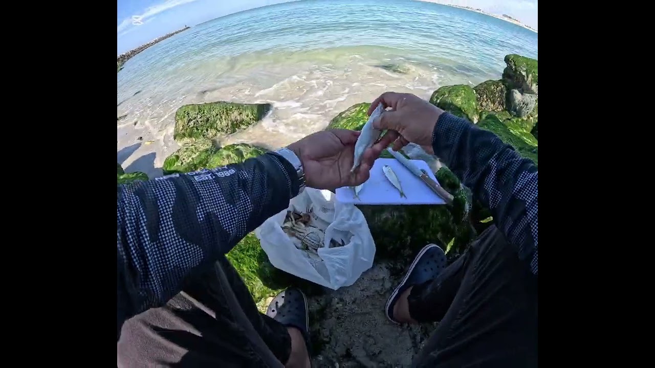 Al Zorah Beach, Ajman fishing spot | Catch and cook