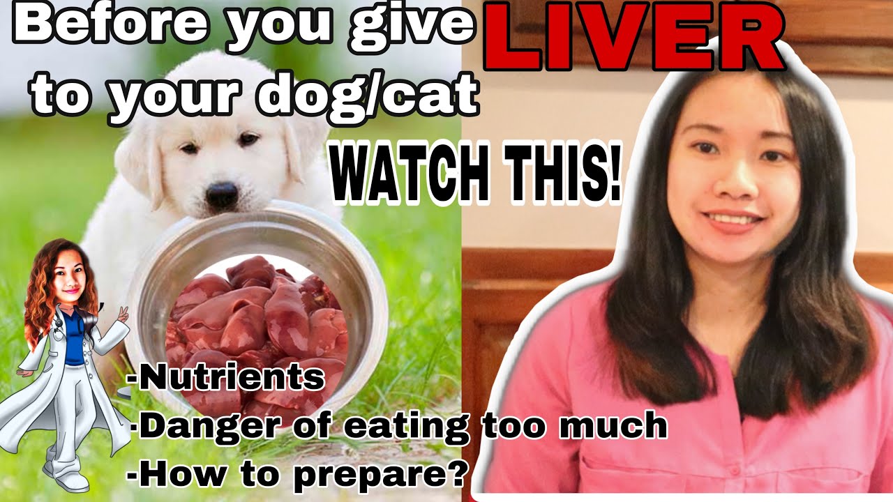 CHICKEN OR BEEF LIVER FOR PETS? IS IT SAFE || ANIMAL LOVERS