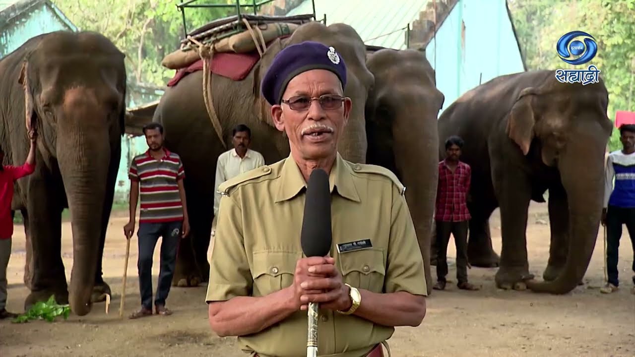 Magical Melghat | HD | चला पर्यटनाला | Part 01 | मेळघाट व्याघ्र प्रकल्प (अमरावती) | Ep 01 | 19.09.22