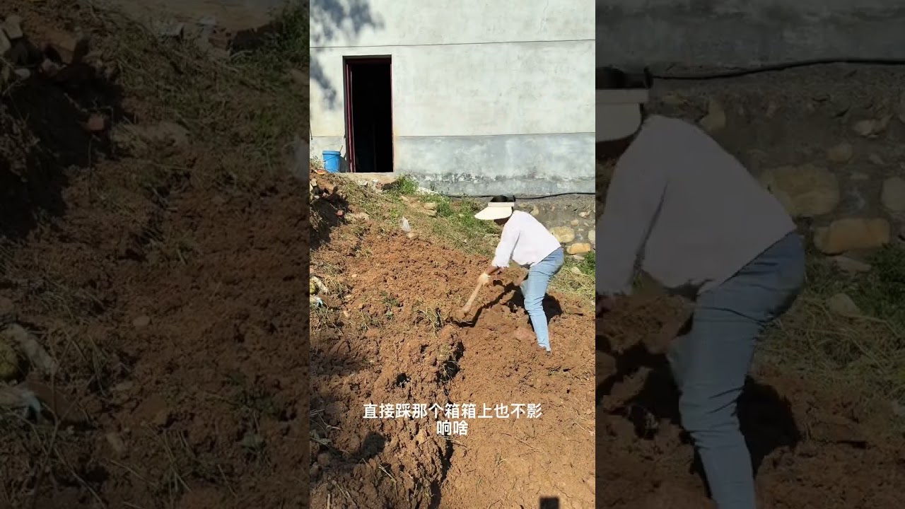 #一份耕耘一份收获 #每天都记录我的农村真实生活日常 #记录大山里的农村生活