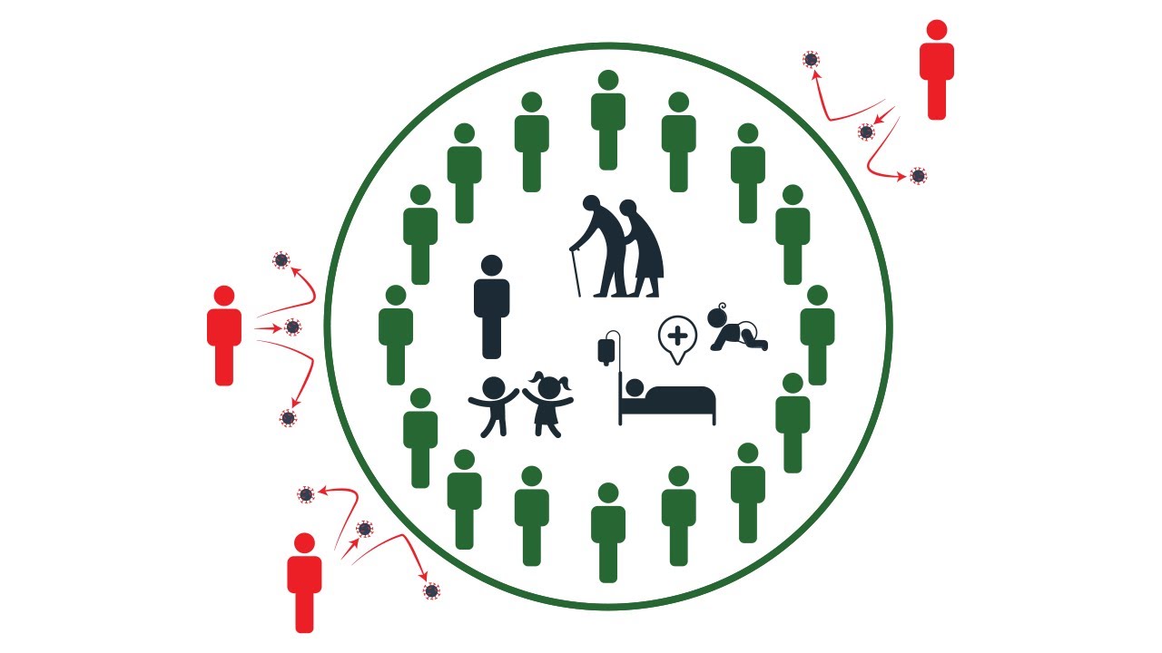 What is community immunity?