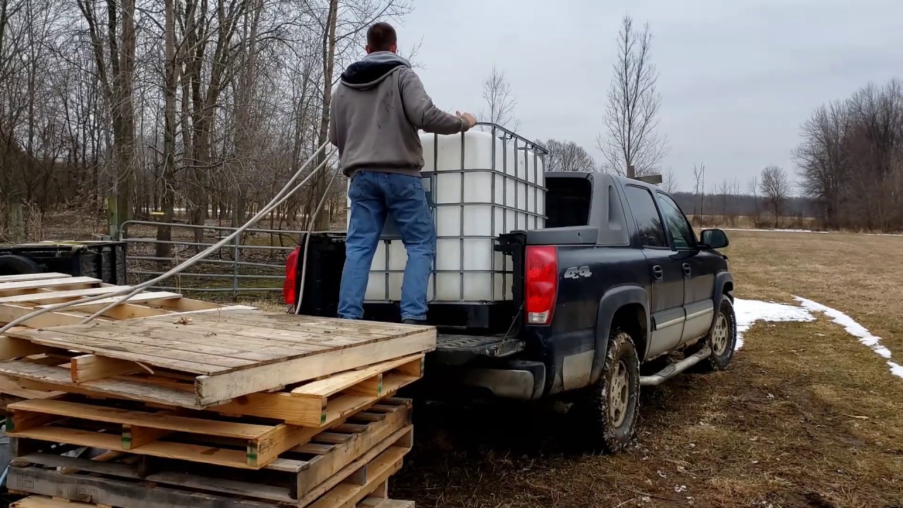 All About Collecting Sap For Maple Syrup