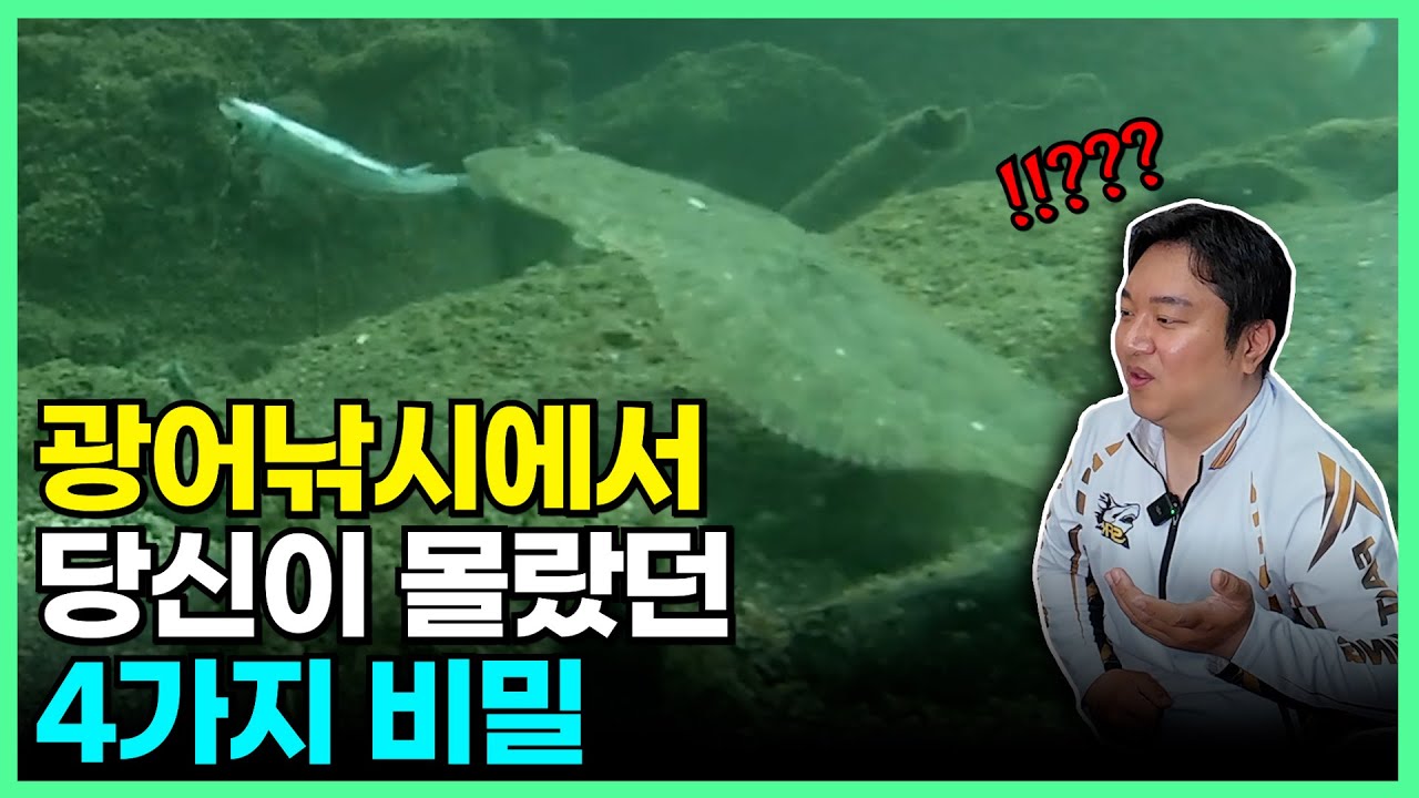 당신이 몰랐던 광어의 습성 4가지 (feat. 수중영상)