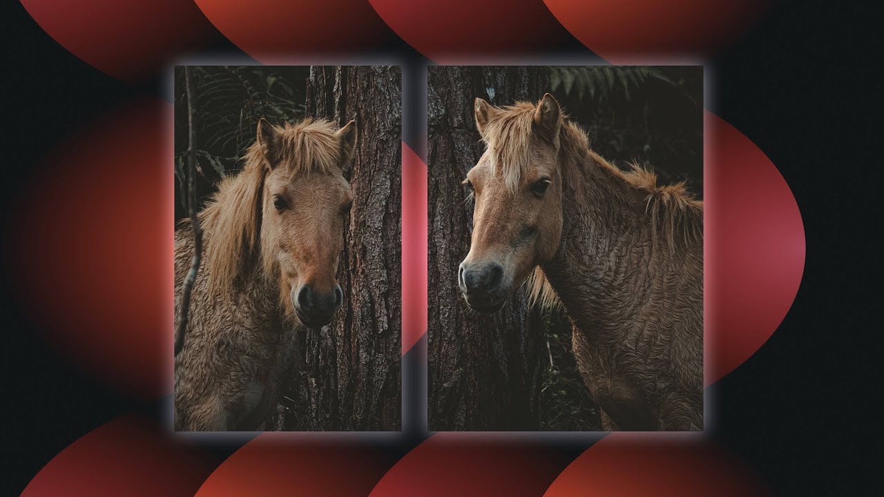 How To Create A Split Screen Effect In Adobe Premiere Pro